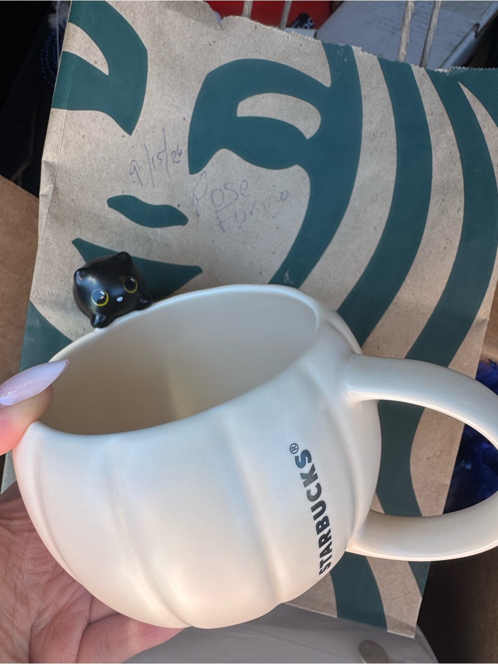 Starbucks Black Cat on Pumpkin mug